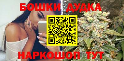 шишки Лесосибирск