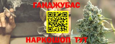 шишки Лесосибирск