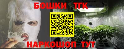 шишки Лесосибирск