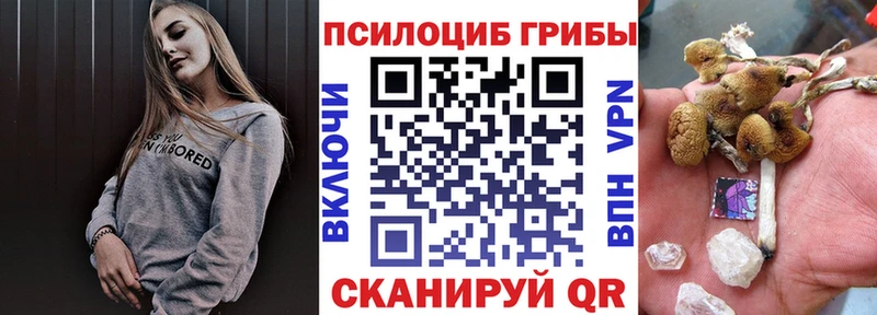 наркошоп  МЕГА ссылка  Псилоцибиновые грибы мухоморы  Приморско-Ахтарск 